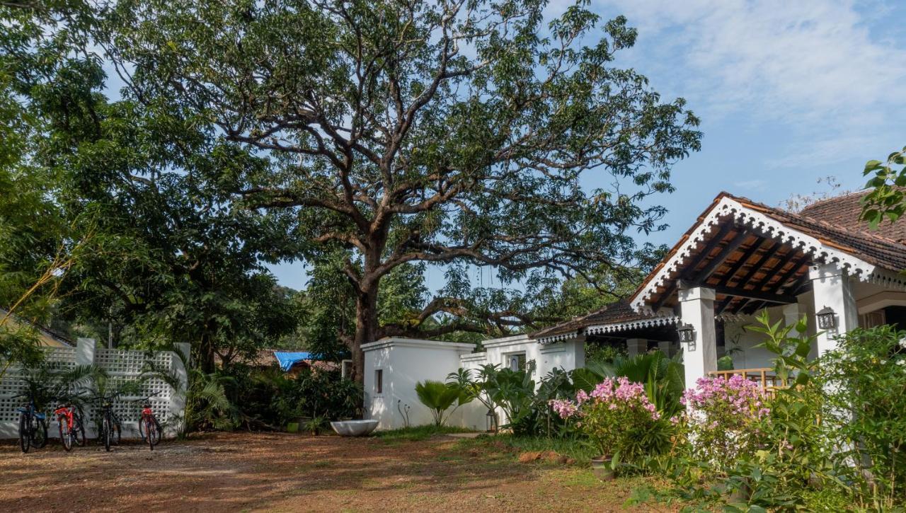Villa The Island Sanctuary Rock Pool Chorao